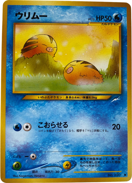 Swinub LV.13 220  Darkness, and to Light